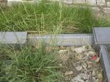 image of grave number 87193